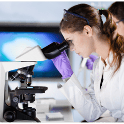 research on soy and breast cancer includes laboratory studies of isoflavone compounds