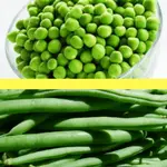 pulses don't include green peas and beans