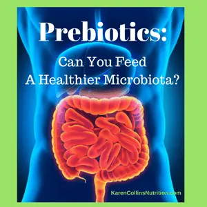 Prebiotic for Gut Microbiome?