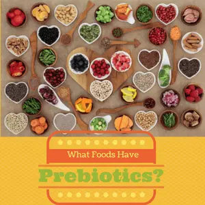 What are examples of prebiotic foods?