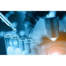 Laboratory studies identify potential anti-inflammatory foods, but they are only a starting point